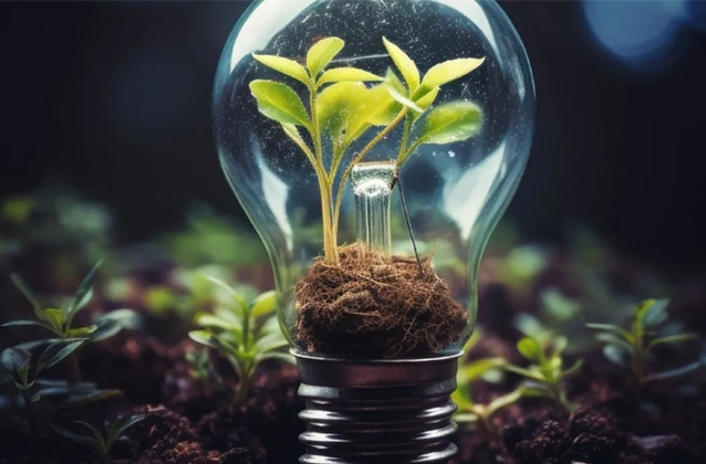 Eine Glühbirne mit einer kleinen Pflanze drinnen. 